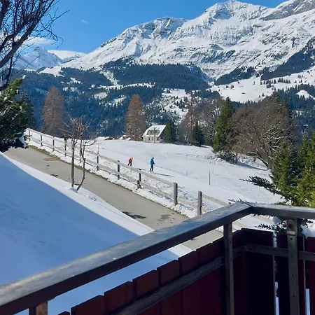 Apartment Steinbock Wengen