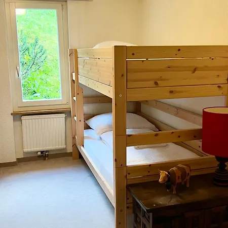 Apartment Steinbock