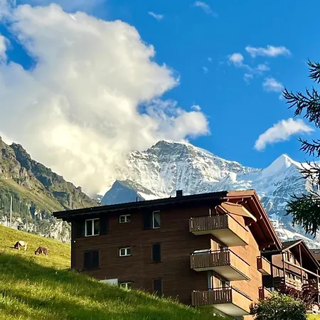 Steinbock Apartment Wengen