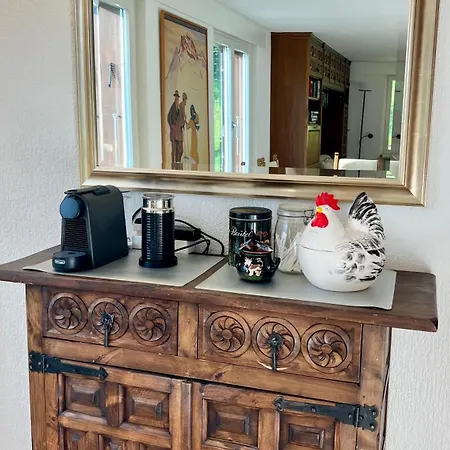 Apartment Steinbock Wengen